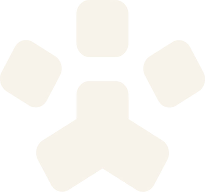 星空宠物，无处不在