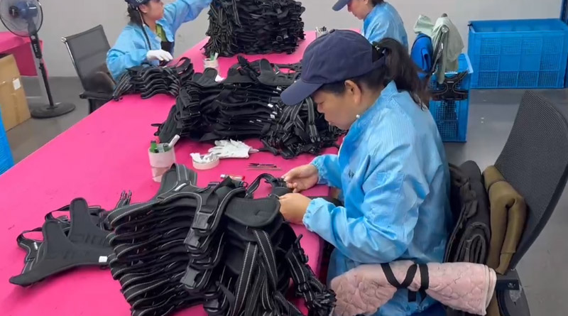 星空宠物，无处不在